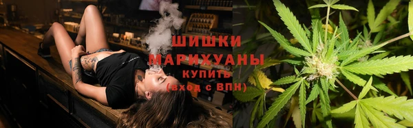крисы Щучье