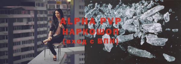 гидра Яровое