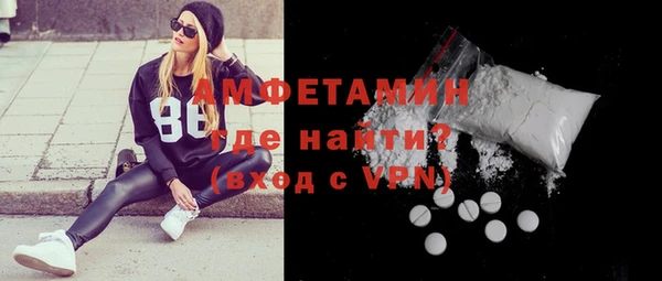 амф Щигры