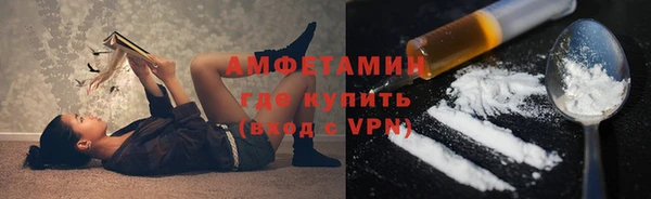 амф Щигры
