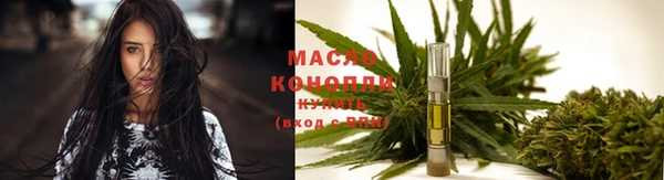 амф Щигры