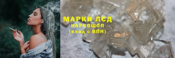 гидра Яровое