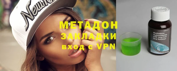 амф Щигры