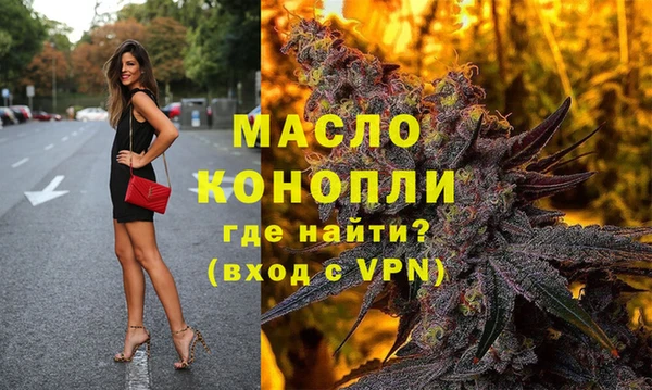 амф Щигры