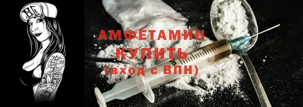 амф Щигры